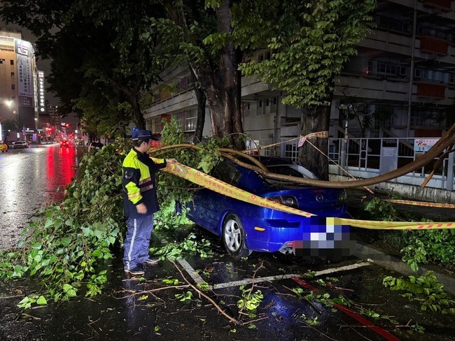 颱風夜高雄新興區路樹倒塌 砸中停車格內自小客車 | 華視新聞