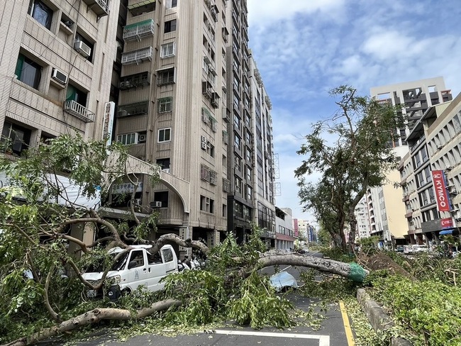 颱風山陀兒重創高雄 樹倒一片多處封路、塞車 | 華視新聞