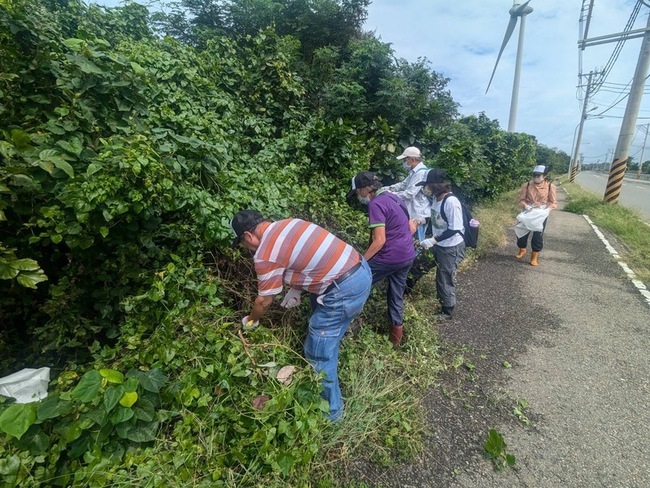 林業署苗栗竹南移除小花蔓澤蘭 維護紫斑蝶棲地 | 華視新聞