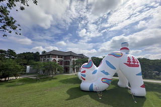 「巷仔Niau」重現台南景點  邀遊客當資深追貓人