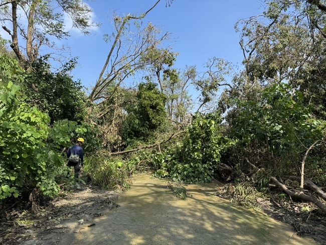 7旬翁高雄壽山公園獨自登山 疑走錯路摔落邊坡身亡 | 華視新聞