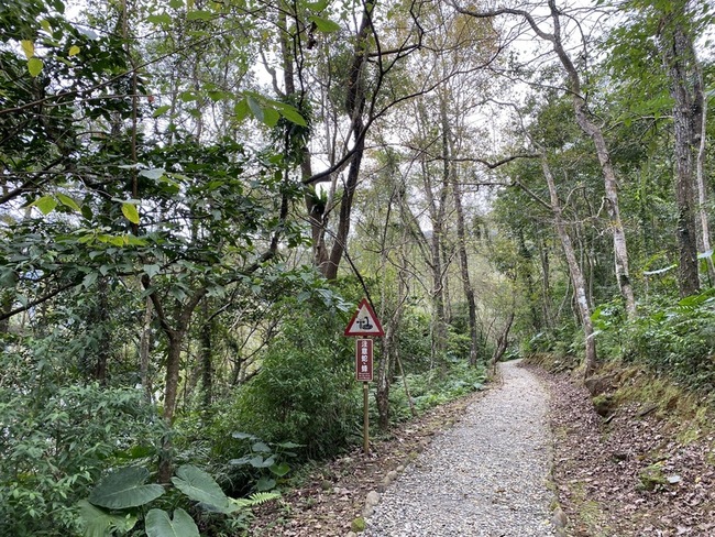 發現虎頭蜂窩 花蓮鯉魚山、富源森林步道持續封閉 | 華視新聞