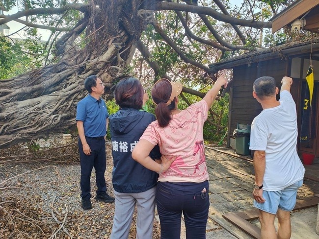 遭颱風山陀兒吹倒  高市搶救百年老榕樹 | 華視新聞