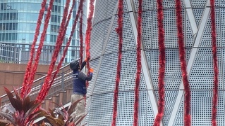 新北市民憂耶誕城塞車惡夢  民代籲做好交通規劃