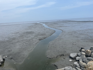 颱風凱米已過逾2個月 彰化大城西港村淹水未退