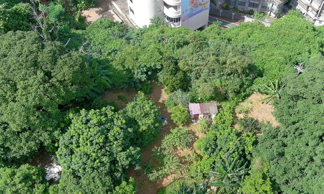 防治本土登革熱 新北出動空拍機赫見菜園積水容器 | 華視新聞