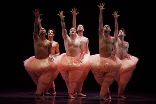 新舞臺藝術節「蓬蓬」首演  猛男舞者跳搞笑芭蕾