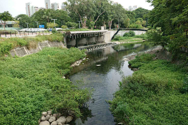 台南竹溪整治見成效 2期水質淨化場將動工 | 華視新聞