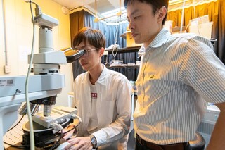 中山大學跨國研究綠色光電  提升光子晶體生長速度