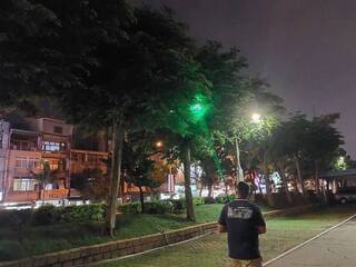 台中八哥夜棲降屎雨擾民 市府試辦雷射光驅鳥