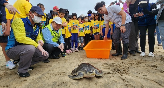 澎湖野放海龜重返大海  學童見證生態保育 | 華視新聞