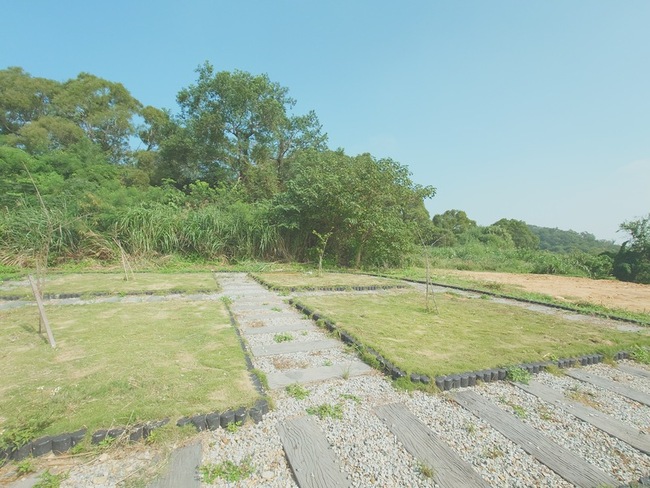 馬祖南竿生命園區樹葬 設立以來僅1件申請 | 華視新聞