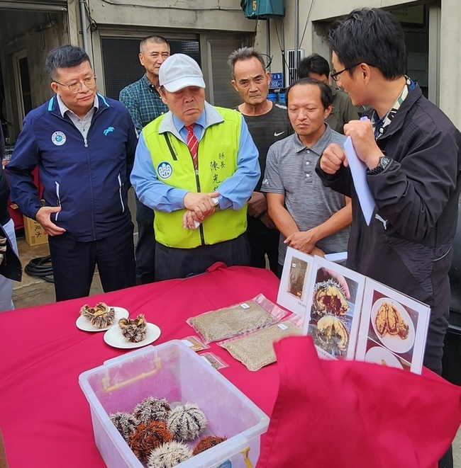 馬糞海膽開放養殖已有16場 澎湖盼未來可全年供應 | 華視新聞