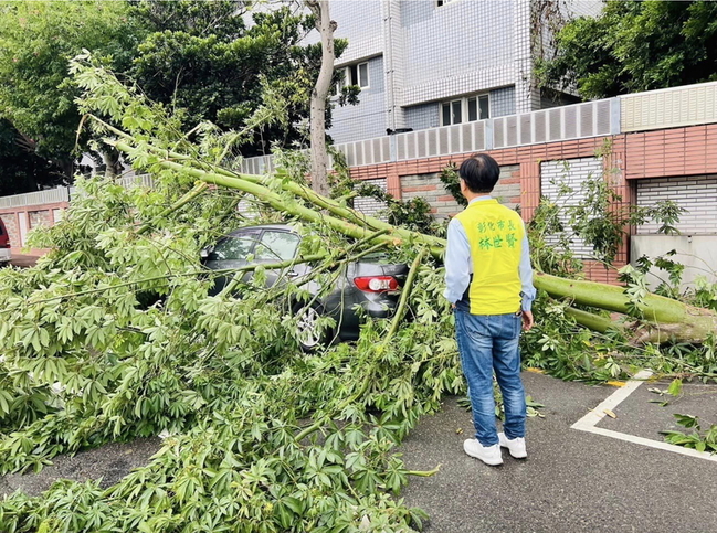 颱風康芮侵台 彰縣路樹被強風吹斷壓倒轎車 | 華視新聞