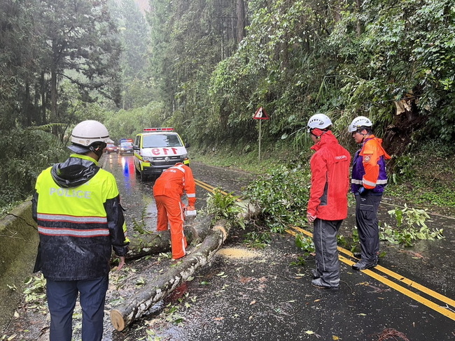 颱風來襲嘉縣山區巨木倒塌擋路  警消民眾合力排除 | 華視新聞