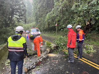 颱風來襲嘉縣山區巨木倒塌擋路  警消民眾合力排除