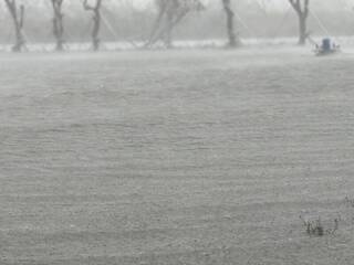 花蓮漁塭遭淹沒70萬尾魚跑光光 漁民嘆退休金泡湯