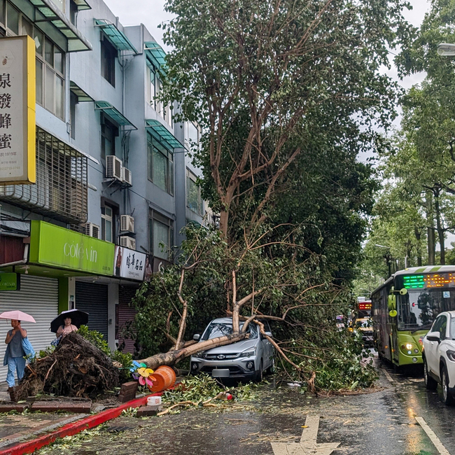 康芮風雨襲台  羅一鈞：登革熱風險大增 | 華視新聞