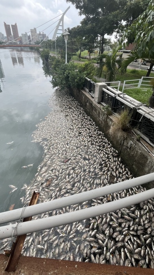 颱風過境台南運河現魚屍 初判濁度飆高影響水質 | 華視新聞