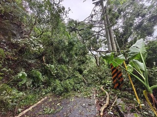 康芮過境苗縣累積2.6萬戶停電 拚全復供