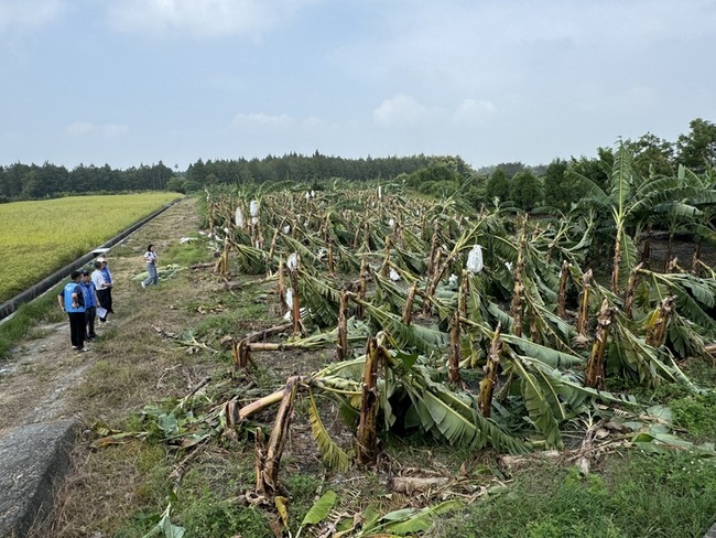 雲縣府：颱風康芮釀農損3.2億 爭取全品項現金救助 | 華視新聞