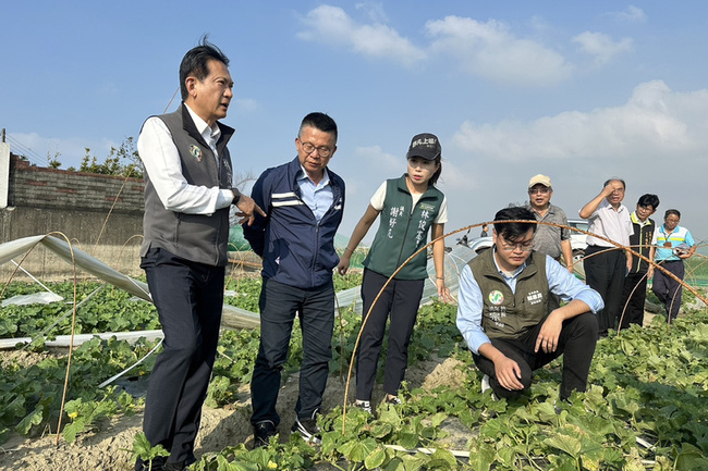 台南洋香瓜受風災損害 林俊憲盼提高總額補助 | 華視新聞