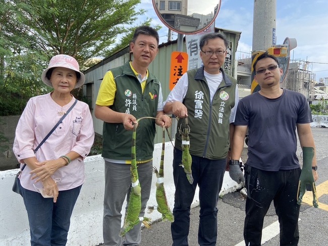 屏東農業委外廠商弊案 議員憂影響綠鬣蜥捕捉移除 | 華視新聞