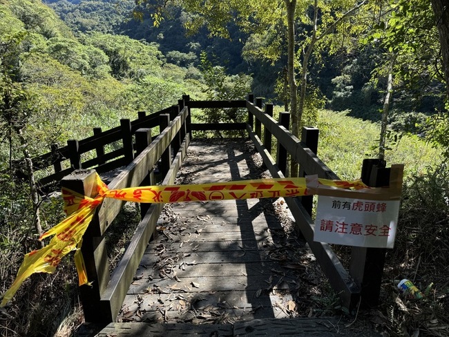 苗縣泰安水雲瀑布虎頭蜂攻擊 4遊客受傷送醫 | 華視新聞