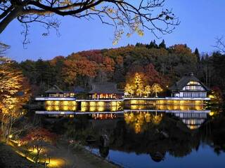 觀光客來台復甦緩慢 業者：把消失的日本客找回來