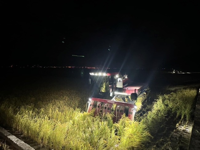 颱風天兔逼近 花蓮南區稻農連日搶收到半夜 | 華視新聞