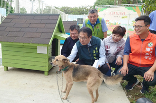 台南啟用首處遊蕩犬暫置區 盼改善人犬衝突