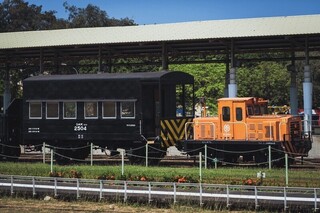 哈瑪星鐵道遊 體驗搭高鐵、大小火車4種軌道運具