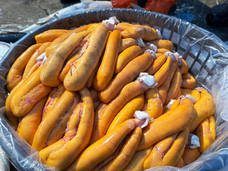 雲林烏魚季到 季風助攻結卵率提升品質