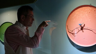 由奢華進入極簡 藝術家陳智權用鈦金屬表達生命力