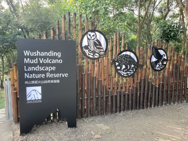 改善竹林地老化  高雄市推動伐採示範與利用 | 華視新聞