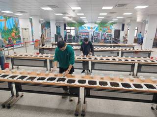 花蓮有機蜜香紅茶評鑑出爐 風災添亂茶香仍濃郁回甘