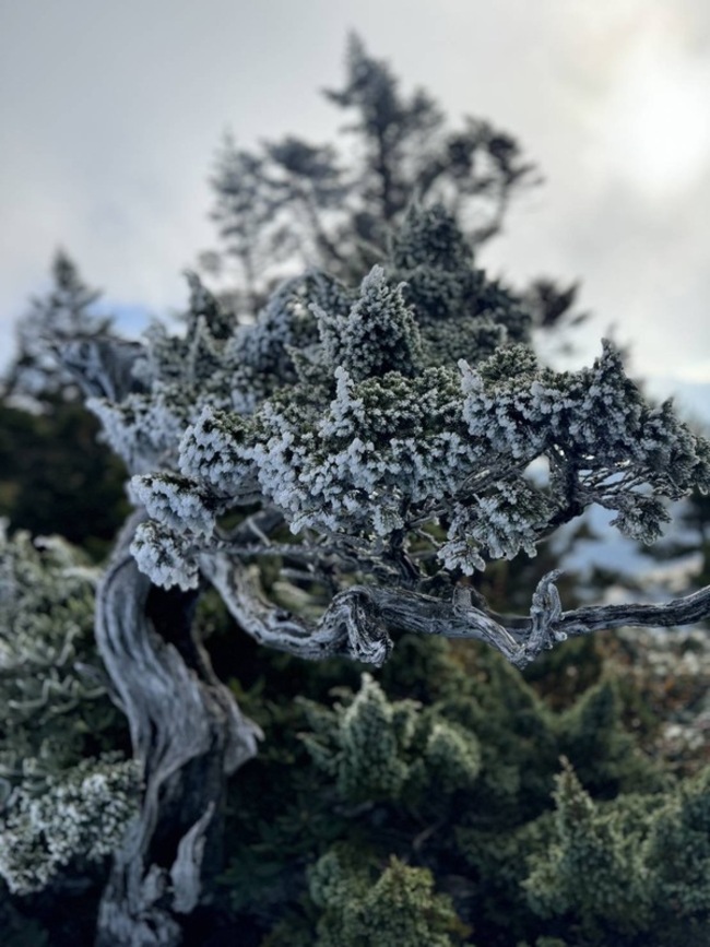 雪霸山區結霜伴隨強陣風 雪管處籲保暖小心步道濕滑 | 華視新聞