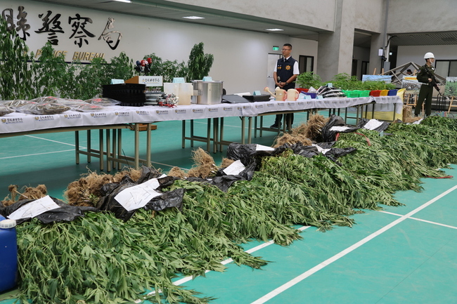 雲檢警破獲占地3甲溫室大麻園  市值超過10億元 | 華視新聞