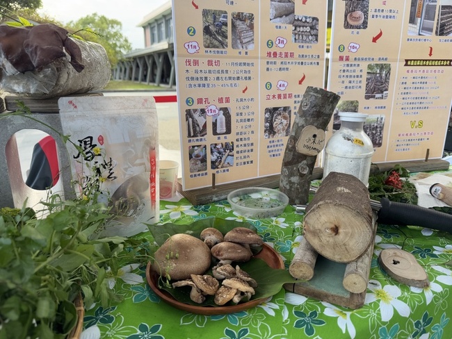 振興花蓮觀光 在地業者推10條食農低碳遊程 | 華視新聞