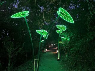 風災重創步道待修復 114年屏東奇幻大津停辦