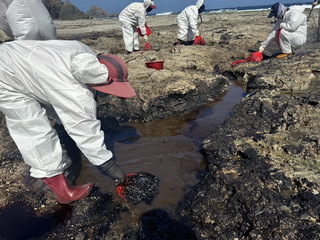 歷時1年 綠島岸邊不明油污完成清理