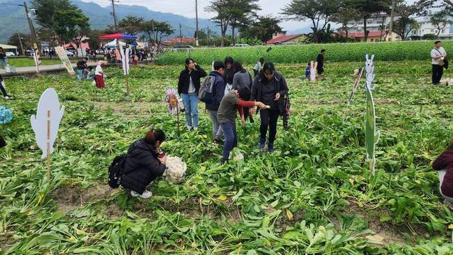 土地龍神旁對聯起名 美濃小蘿蔔變「白玉」註冊商標 | 華視新聞