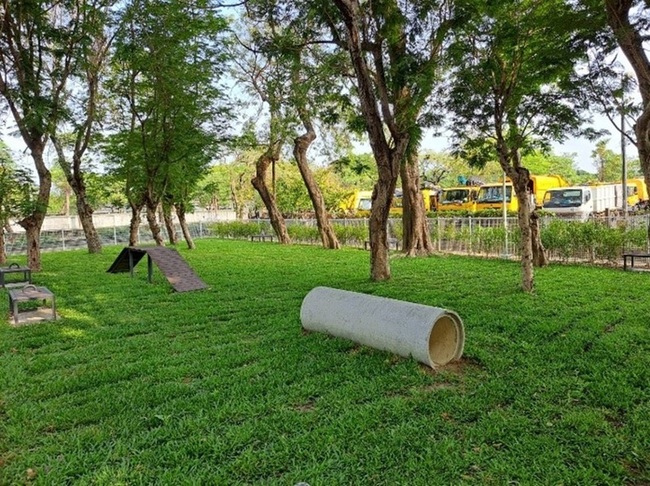 高市再添寵物設施 岡山公園將完工 | 華視新聞