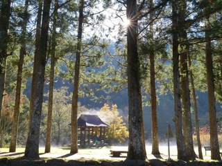 武陵農場望溪亭結霜 太陽照射融霜騰霧縹緲如仙境