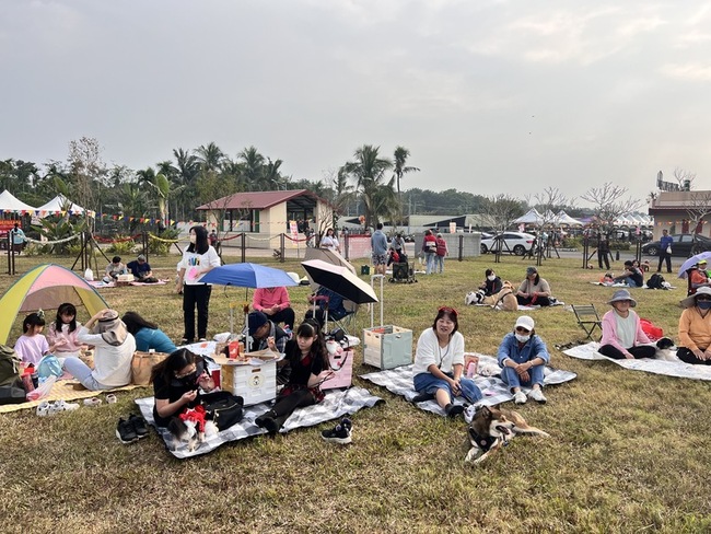 屏東毛小孩「聖誕派對」 飼主精心裝扮萌寵同樂 | 華視新聞