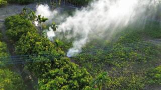 屏東AI判煙監控巡查 2個月抓28件露天燃燒