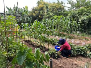 中市環保農園開放報名 免費承租5個月實現田耕樂