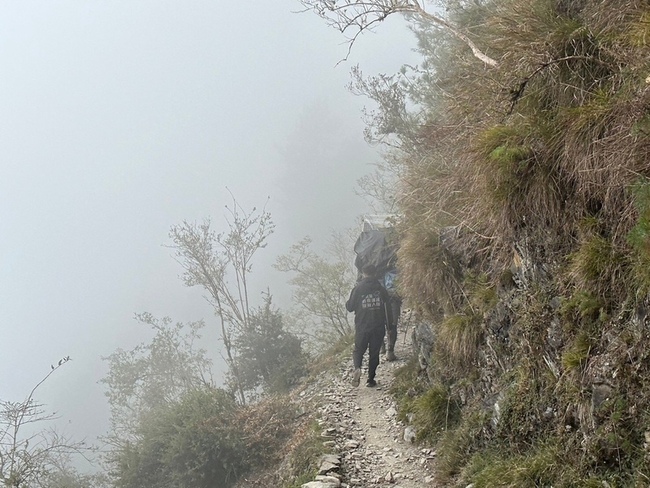 玉山出沒流浪犬遭誘捕  嘉縣府花4小時揹下山 | 華視新聞