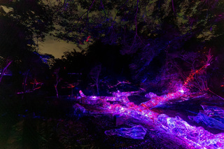 龍崎光節空山祭將登場 融入地方創生推13組作品