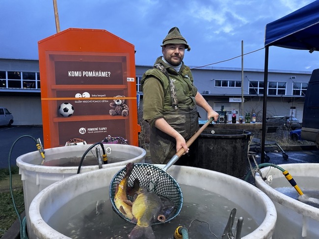 捷克耶誕節前魚市滿街 禁販活鯉魚成辯論議題 | 華視新聞